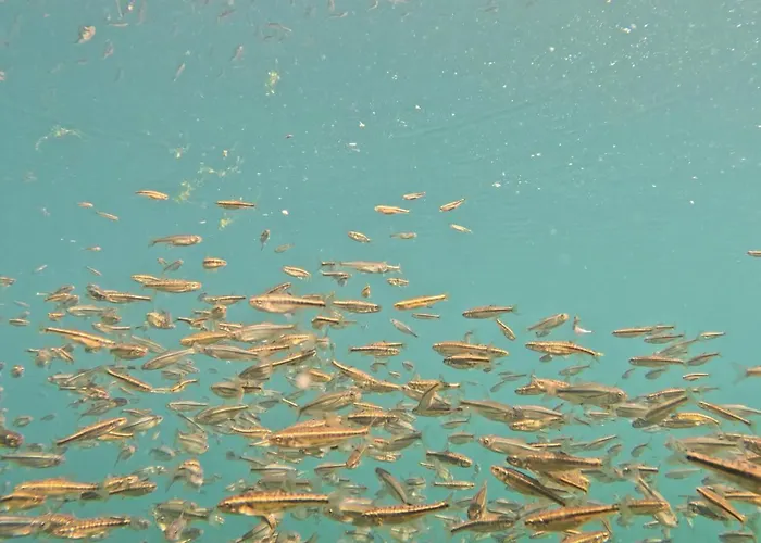 度假居 朱利亚别墅度假屋 Bihać